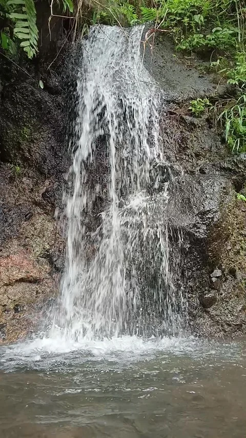 Small Waterfall Flowing Down Rocks in Forest Stock Footage 329899019