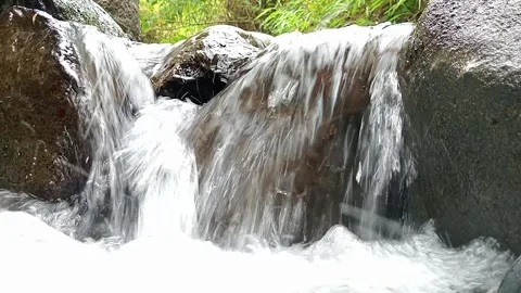 Small Waterfall Flowing Into Forest Stream – Fresh Natural Water Stock Footage 330560541