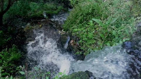 Small waterfall flowing in a lush green forest creek Stockbeeldmateriaal 333695958