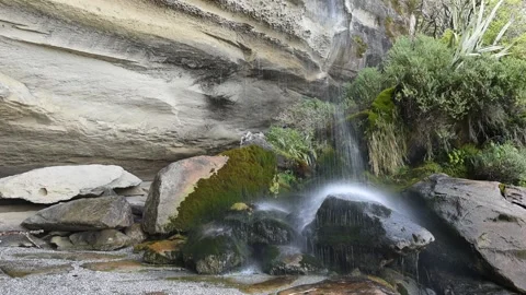 Small waterfall flowing onto moss-covered rocks, New Zealand. Stock Footage 146989898