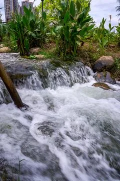 Small waterfall flowing next to green plants Stock Photos