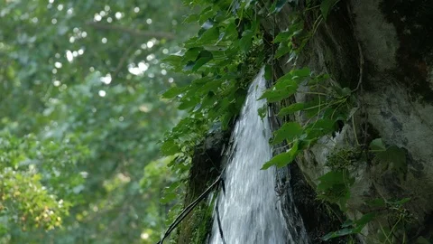 Small waterfall flowing out of the middle of the mountain Stock Footage 116441808