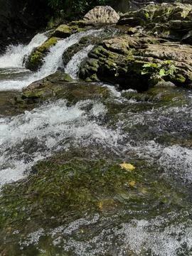 Small waterfall flowing over moss covered rocks in forest stream. Stock Photos