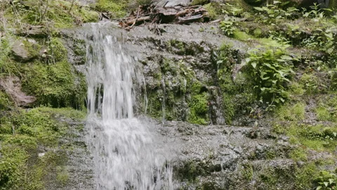 A small waterfall flowing over mossy rocks Stock Footage 221191770