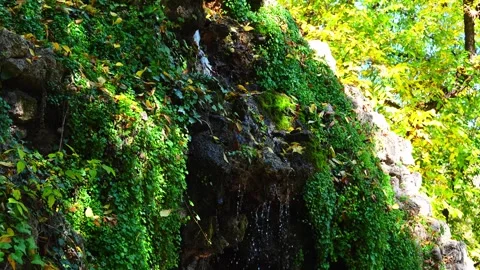 Small waterfall flowing over mossy rocks in green forest 動画素材 320401156
