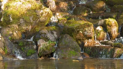Small Waterfall Flowing Over Mossy Rocks in a Japanese Garden Stock Footage 336225995