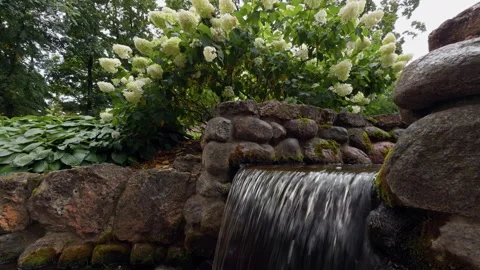 Small waterfall flowing over mossy stone wall beside lush garden with white Stock Footage 345453129