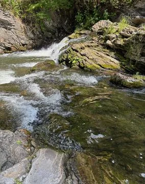Small waterfall flowing over mossy rocks in a forest stream. Stock Photos