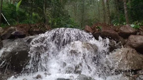 Small Waterfall Flowing Over Rocks – Natural Stream Cascade in Forest Видео 315153356