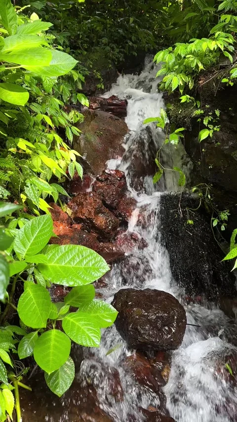 Small Waterfall Flowing Over Rocks in Green Tropical Forest Vertical Shot Stock Footage 324070553
