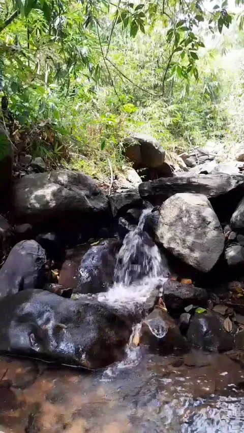 Small Waterfall Flowing Over Rocks in Lush Tropical Jungle 4K Видео 343081177