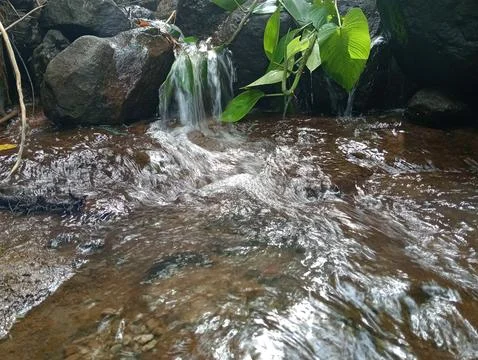 Small Waterfall Flowing Over Rocks in Tropical Forest Stock Photos