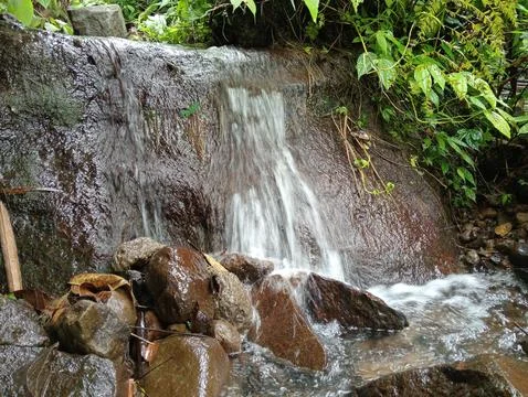 Small Waterfall Flowing Over Rocks In Tropical Forest Stock Photos