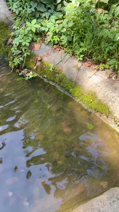 Small waterfall flowing over stones Stock Footage 314717547
