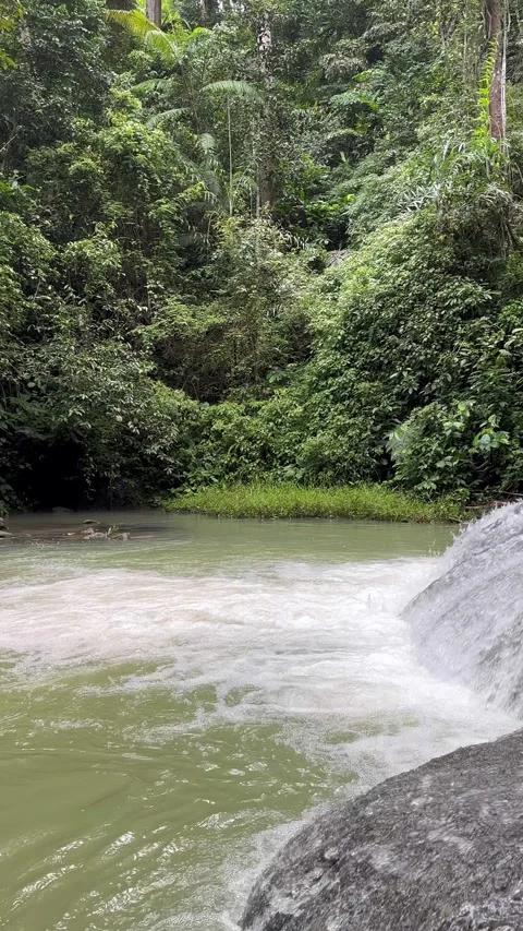 Small Waterfall Flowing into River, Lush Jungle Environment, Vertical Shot Stock Footage 325304376