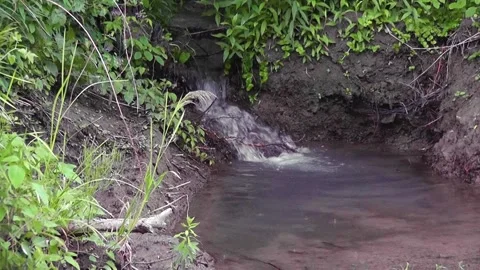 Small waterfall flowing into a small stream in spring Stock-Footage 166331245