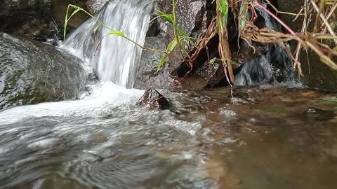 Small Waterfall Flowing Into Stream in Forest Environment Stock Footage 330516655