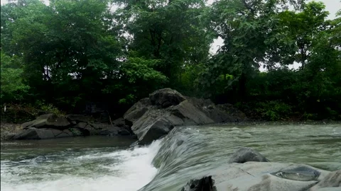 Small Waterfall Flowing Through Forest Rocks Vidéo 327429461
