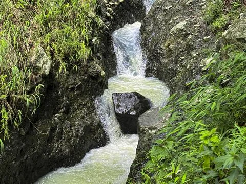 Small Waterfall Flowing Through a Lush Green Forest Stock Photos