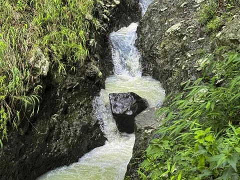 Small Waterfall Flowing Through a Lush Green Forest Stock Photos