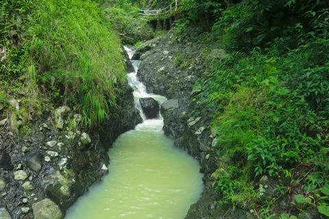 Small Waterfall Flowing Through a Lush Green Forest Stock Photos