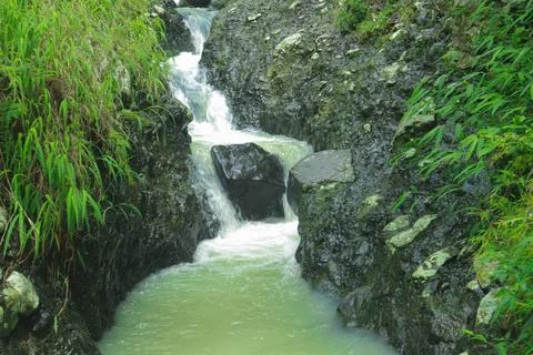 Small Waterfall Flowing Through a Lush Green Forest Stock Photos