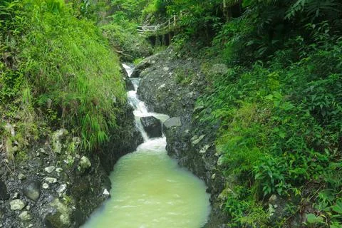 Small Waterfall Flowing Through a Lush Green Forest Stock Photos
