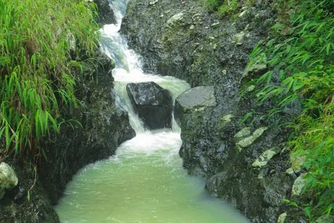 Small Waterfall Flowing Through a Lush Green Forest Stock Photos