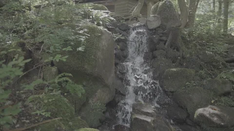 Small Waterfall Flowing Through Mossy Rocks, Log Footage Stock Footage 339380736