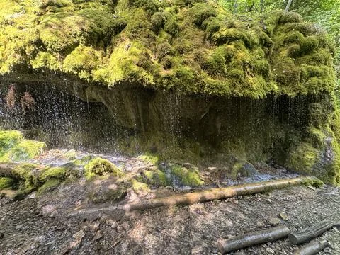 Small waterfall flowing through mossy rocks in a forest landscape Stock Photos