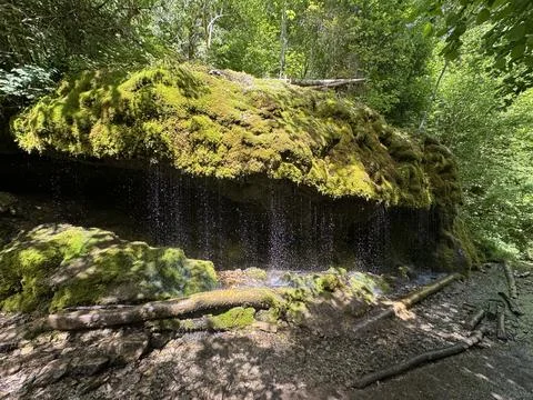Small waterfall flowing through mossy rocks in a forest landscape Stock Photos