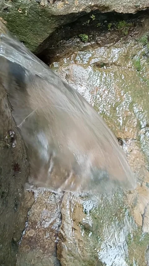 Small Waterfall Flowing Through Rock in Tropical Forest Stream Stock Footage 329818569