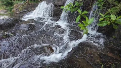 Small Waterfall Flowing Through Rocks and Green Plants in 4K Stock Footage 337309107