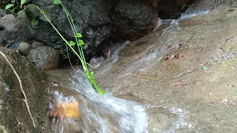 Small Waterfall Flowing Through Rocky Forest Stream Stock Footage 329782653
