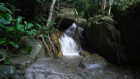 Small waterfall flowing through rocky stream in forest setting Stock Photos