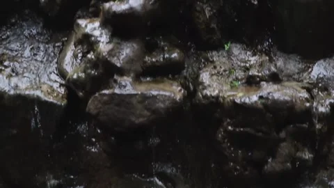 A small waterfall flowing through stones 库存影片 148254011