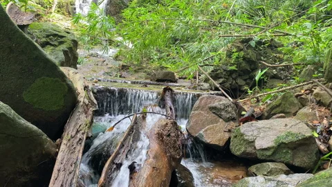 Small waterfall flows down the mountain between large stones. Stock Footage 229521289