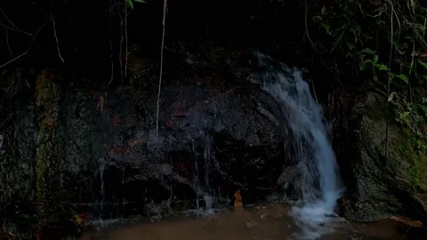 Small waterfall flows down the rocks. Stock Footage 230078519