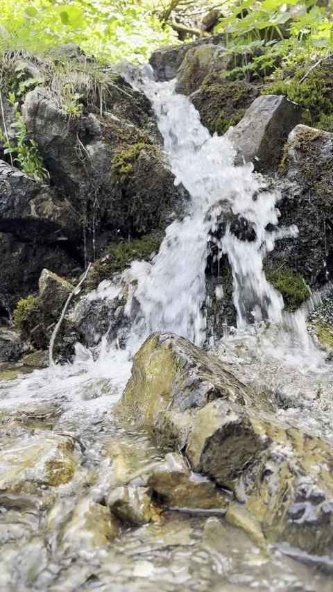 Small waterfall flows over moss-covered stones in a dense forest Stock Footage 313695870