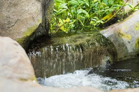 Small waterfall flows over mossy stone in garden with green plants backgrou.. Stock Photos