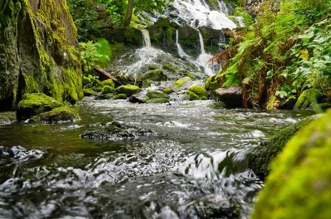 Small waterfall flows into a stream in Sweden. Forest on the riverbank. Stock Photos