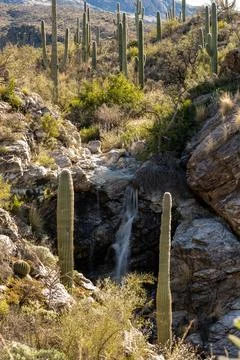 Small Waterfall Flows Through The Desert Foto stock
