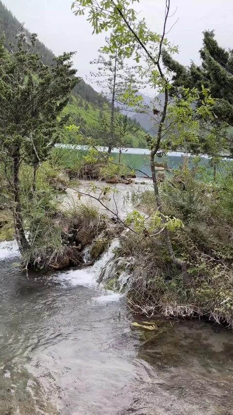 Small Waterfall Flows into Turquoise Lake in Jiuzhaigou Valley, Sichuan, China Vídeos de archivo 337007829