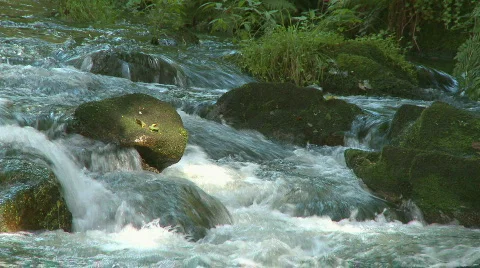 Small Waterfall  Stock Footage 286226
