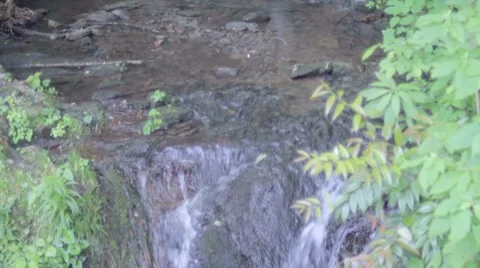 Small Waterfall Stock Footage 7765793