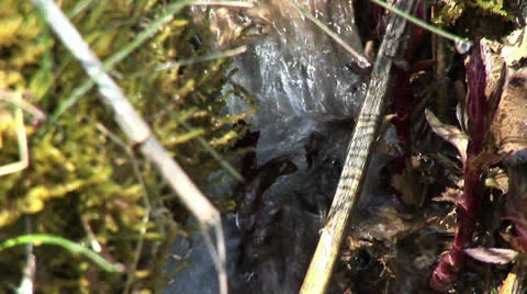 Small waterfall Stock Footage 22605402