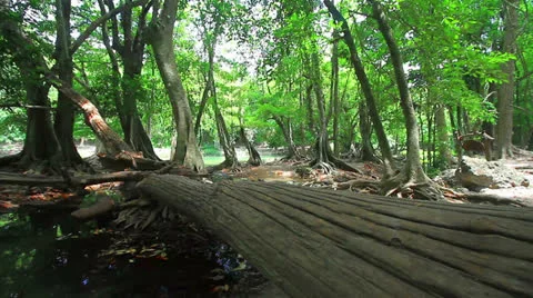 Small waterfall. Video stock 24091383