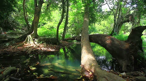 Small waterfall. Stock Footage 24148593
