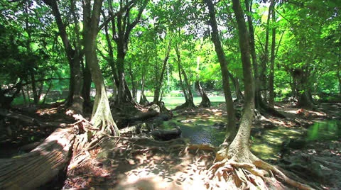 Small waterfall. Video stock 24209401