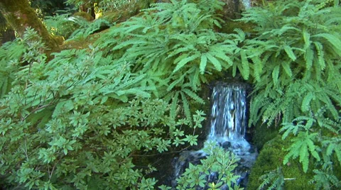 Small Waterfall Stock Footage 33604743